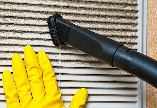 Best Professional Duct Cleaning Services  in Pea Ridge, AR